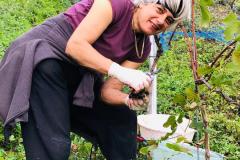 IMG-20201115-WA0025