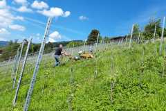 IMG-20201115-WA0061