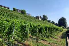 IMG-20220720-WA0028