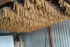 IMG-20170322-WA0017