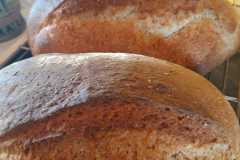 IMG-20201019-WA0004