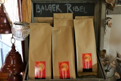 Ribel-1