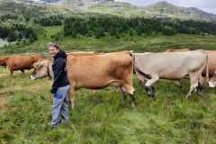 IMG-20220710-WA0013