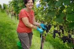 IMG-20220924-WA0004
