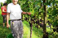 IMG-20220924-WA0005